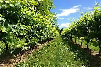 Palazzo Paradiso Hotel 3*